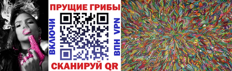 Купить где  Россошь  Псилоцибиновые грибы GOLDEN TEACHER 